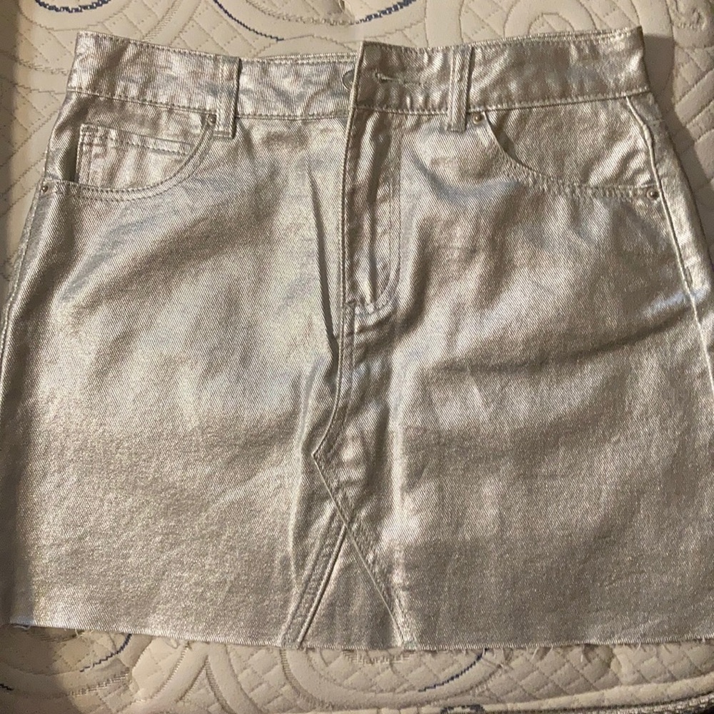 shiny silver skirt